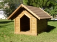 Köpek Kulübesi Nasıl Olmalıdır?